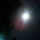 Picture for song 'LS110238' by artist 'JamJuice'