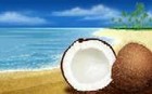 Picture for song 'Coconut ballad' by artist 'jeangusyoung'