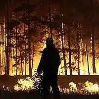 Picture for song ''HeatWave'' by artist 'Jethro Beats'