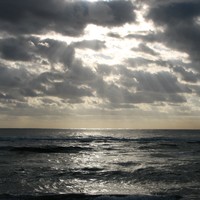 Picture for song 'The Patience of God (Disharmony)' by artist 'Joseph Smith'