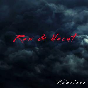 Picture for song 'Raw & Uncut' by artist 'Kamileon'