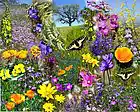 Picture for song 'The Spring is Just Around the Corner' by artist 'Klaatu (CT)'