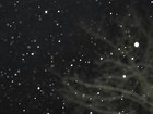 Picture for song 'Schneeschippen ist ein Arsch (Instrumental)' by artist 'Klanggebiet(er)'