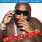 Picture for song 'Rick Ross Type Still Gettin It Instrumental LevL7' by artist 'LevL7'