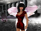 Picture for song 'Cannonball' by artist 'Lyric Serendipity'