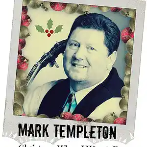Picture for song 'Underneath The Christmas Tree' by artist 'Mark Templeton Band'