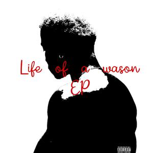 Picture for song 'Waa was I smoking? [1]' by artist 'Mike WASON'