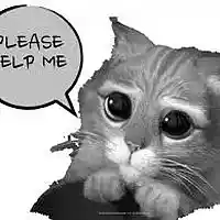 Picture for song 'Cry For Help' by artist 'Mizerable Steve'