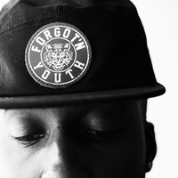 Picture for song 'Bound To Be (011533)' by artist 'Nature Boy Holls'