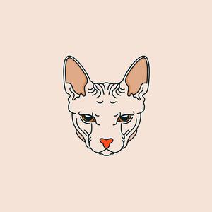 Picture for song 'Señorita Beat' by artist 'Netuno Beats'