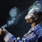 Picture for song 'Burning It Up | Free D/L' by artist 'Nine Diamond'