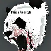 Picture for song 'Panda Freestyle (Over-Tyme) Mixed' by artist 'OverTyme'
