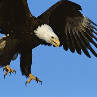 Picture for song 'Like the silence surrounding the air' by artist 'Peter Kosta's Galaxy Rock Band'