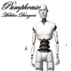 Picture for song 'Hidden Dangers' by artist 'Pumphouse'