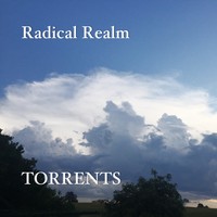 Picture for song 'Misted Mountain' by artist 'Radical Realm'