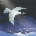 Picture for song 'So this is Christmas' by artist 'Rex Reynolds'