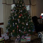 Picture for song 'oh xmastree.mp3' by artist 'Saunders Jones Jr'