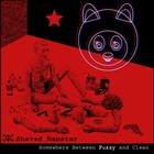 Picture for song 'Big Man' by artist 'Shaved Hamster'