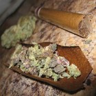 Picture for song 'GOTA SMOKE A BLUNT' by artist 'Soter 602er'