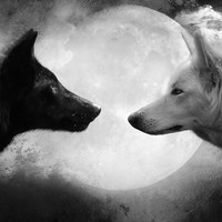 Picture for song 'Sounds Like ... $' by artist 'Spacewolf Project'