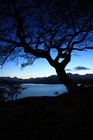Picture for song 'NightScapes - Acoustic Guitar' by artist 'Studio J'