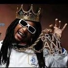 Picture for song 'GANGSTER ROCK...FREE DOWNLOAD!!!' by artist 'THE BEAT ANYMALZ'