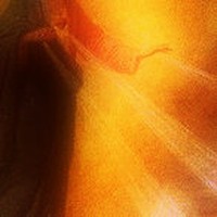 Picture for song 'Instead of a Miracle' by artist 'The Serendipitous Cacophonies'