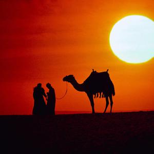 Picture for song 'Desert Trek' by artist 'Tim Donovan Media Composer'