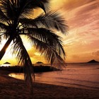 Picture for song 'Summer Love (R&B Beat) (Prod. T.O. Beatz)' by artist 'T.O. Beatz'
