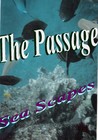 Picture for song '17 026 The Passage' by artist 'WebWorks James Stonecipher'