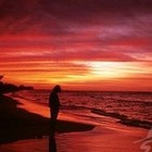 Picture for song 'Life Expectations Pt. 2 - GG feat. YB' by artist 'Y.G.H. Black Knights Productions'
