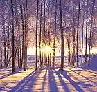 Picture for song 'Equatorial Light' by artist 'ALPHA ONE OMEGA'