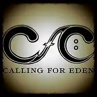 Picture for song 'Cant Stop' by artist 'Calling For Eden'