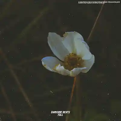 Picture for song 'fall' by artist 'darkside beatss'