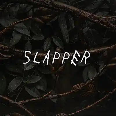 Picture for song 'Slapper (Free Download)' by artist 'Frankenstein Beats'
