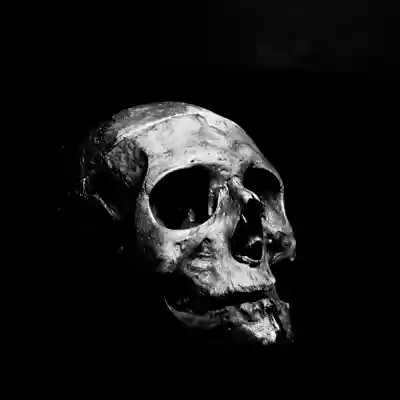 Picture for song 'Bone Killer- Rage Trap Type Beat' by artist 'Jerry Beats (Jerry On The Track Boy)'