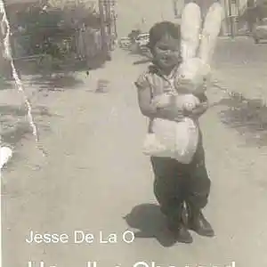 Picture for song 'How Ive Changed' by artist 'Jesse De La O'