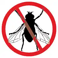 Picture for song 'Ain't No Bugs on Me' by artist 'JT Moring'