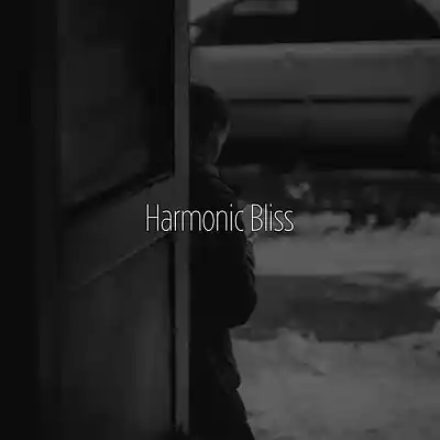Picture for song 'Harmonic Bliss' by artist 'MIROV'