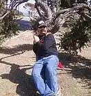 Picture for song 'Remember I Love You Original Studio Recording' by artist 'O'Brien's Edge'