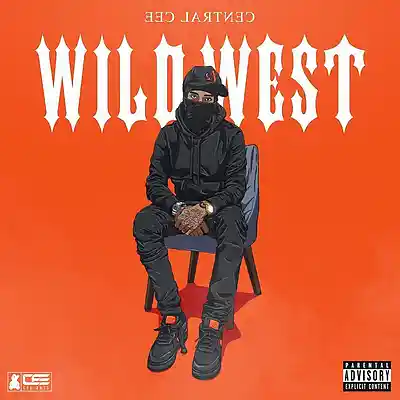 Song picture