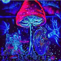 Picture for song 'PSYCHEDELIC MUSHROOMS' by artist 'SEAN CHRIST'
