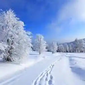 Picture for song 'Winterpoesie' by artist 'SkyWolf'