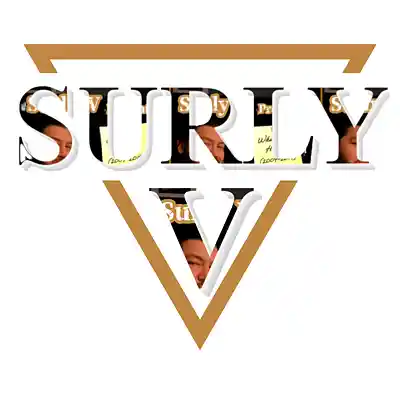 Picture for song 'save me from my self (bootleg)' by artist 'Surly V'