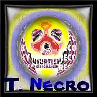 Picture for song 'Music Box Ting Ting' by artist 'Turtle Necromancer'