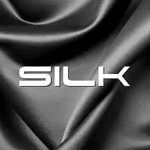 Picture for song 'Silk - Piano Choir Gospel 2Pac Type Beat' by artist 'A.T.Z. the 5th LMNT'