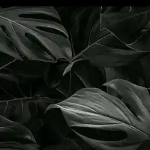 Picture for song 'FADEL - Conscious [Offecial Audio ]' by artist 'FADEL'