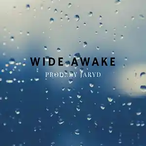 Picture for song 'Wide Awake' by artist 'JarydAudio'