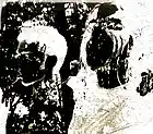 Picture for song 'Apeirophobia feat The Light Bearer' by artist 'Pitta's late night show'