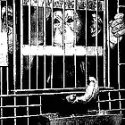 Picture for song 'Aujourd'hui' by artist 'Primitive'